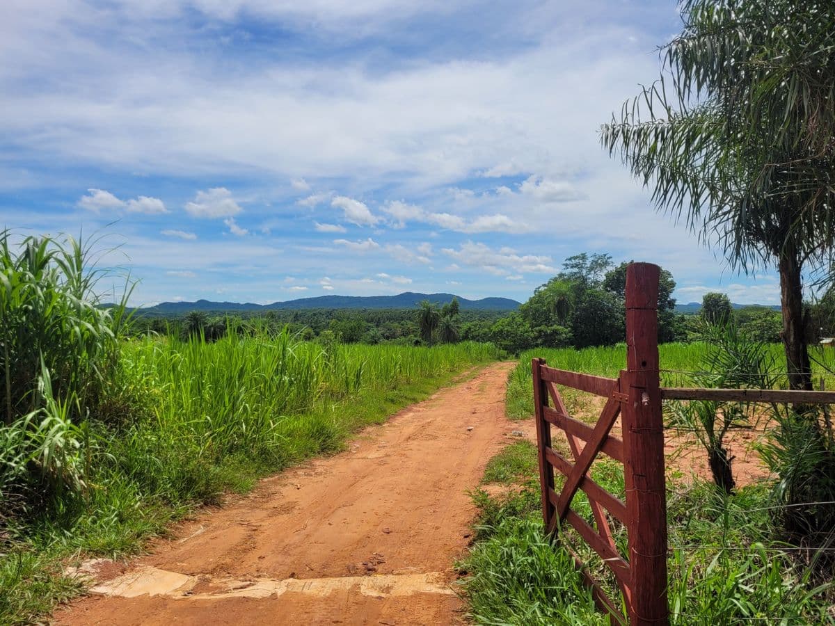 Tour Encarnación y Misiones Jesuíticas — Schafler Tours