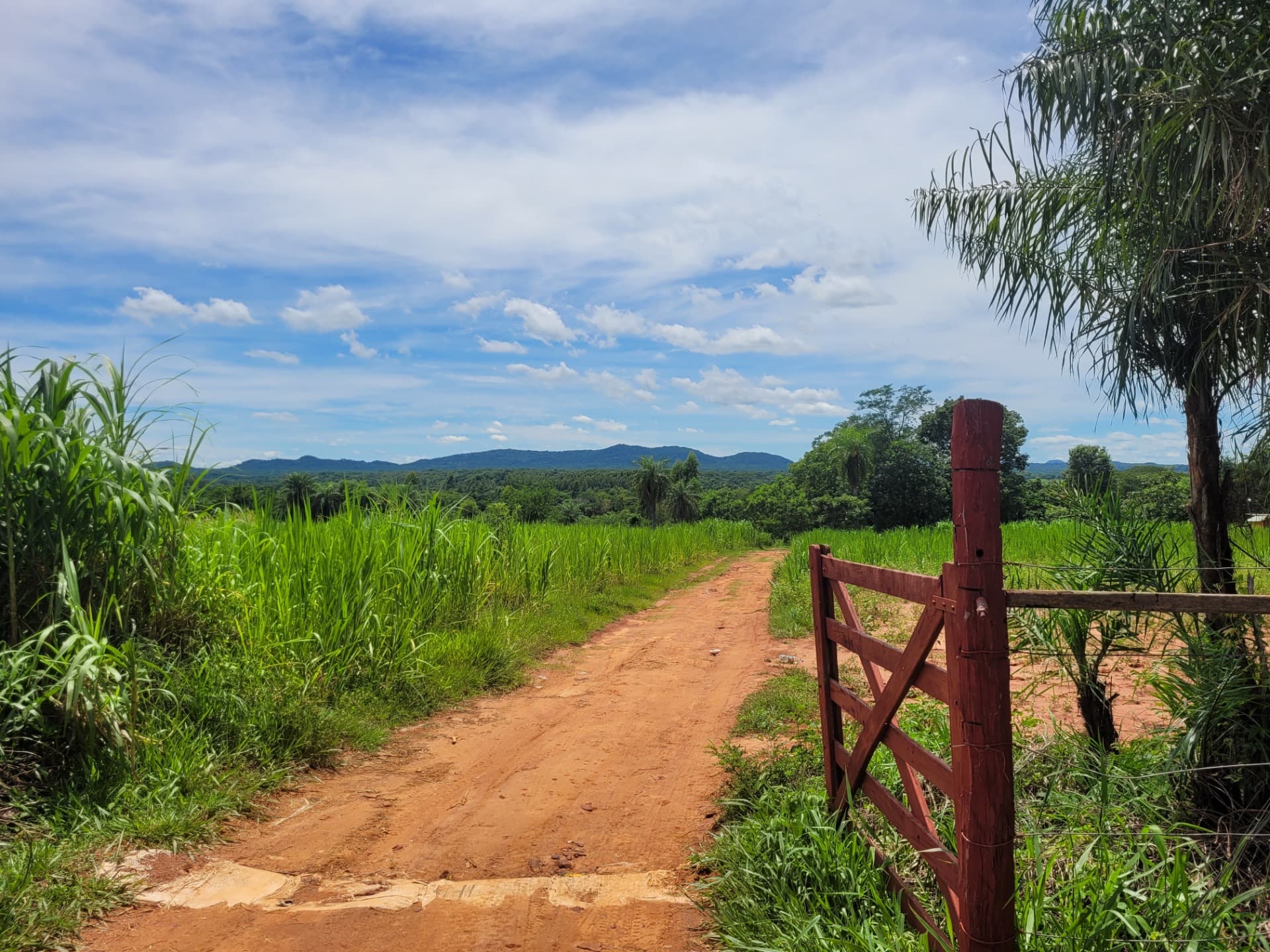 Tour Encarnación y Misiones Jesuíticas — Schafler Tours
