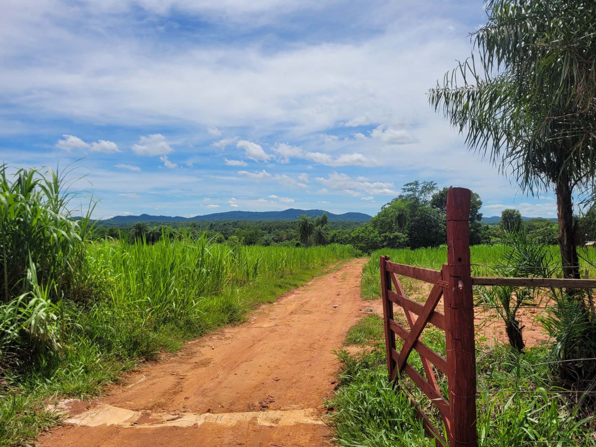 Misiones Jesuíticas y Naturaleza